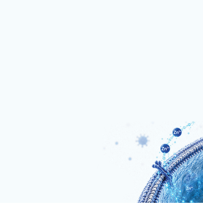 Illustration of a cell membrane with zinc ions (Zn2+) highlighted, zinc supplement
