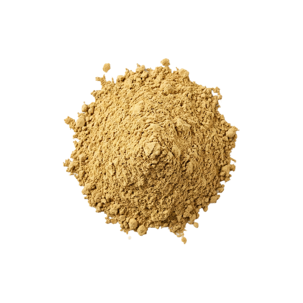 Dandelion raw ingredient